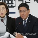 Re: 속보.! 여야, '필리버스터 철회·패스트트랙 법안 상정보류' 이미지