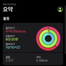 음파음파 수영장 이미지