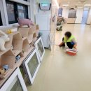 서울신현초등학교병설유치원 이미지