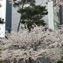 따따PC 이미지