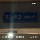 미진농장 | 4