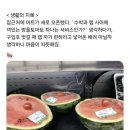 사이랩 Daum카페