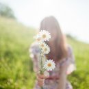 안의꽃사랑 이미지