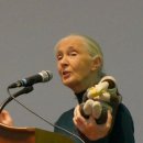 Jane Goodall Interview with Plant Based News-국립생태원에 '제인 구달의 길' 조성 이미지