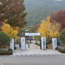 통일전 주차장 화장실 이미지