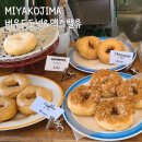 맥스 자동차나라 | [미야코지마] Day3 버우드도넛,맥스밸류