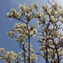 학교관사앞 이미지