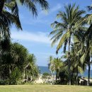 숲속으로 | 베트남 나트랑 여행 미아리조트 냐짱 가든빌라 숲속으로 물속으로 휴양하러