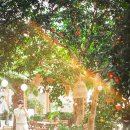 왕궁포레스트 이미지