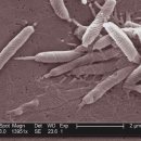 송탄한의원 이미지