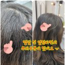 영도미용실 머리하기좋은날 이미지