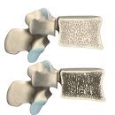 문흥효자정형외과의원 이미지