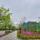 월성박씨종중묘역 이미지