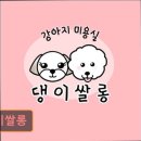 댕이쌀롱 네이버블로그