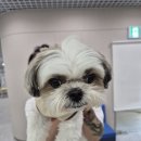 신월7동주민센터 이미지