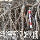 으뜸농장 1 이미지