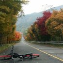 복내면사무소 이미지