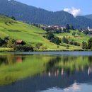 금성리 농로 1 이미지