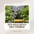 돼지야놀자 - 수영구 과정로 75-2 | 6월 제주도 비오는날 실외 휴애리 수국명소 우비 쓰고 방문하기,실내 온실부터 동물 먹이 체험까지...