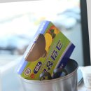 명성수산 | 상차림 만족도 최고인 감포 명성수산에서 경주빵까지 완벽한 식사 후기