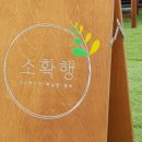 카페소확행