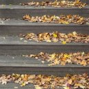 달둔소낭펜션 이미지