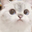 민정수산 | 12월 1월 이모저모 민정의 일상(대방어 3번 먹음)