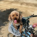 남이섬 더 휴 이미지