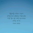 자연이치