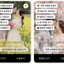 모바일 청첩장 : 데어무드(Theirmood) 제작 및 사용 후기