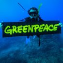 대한해상산악구조대 정기후원[3-2] 그린피스(Greenpeace) 후원하기 이미지