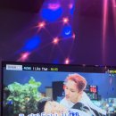 코털미술재료사 이미지