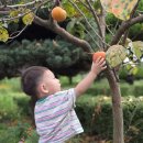 정토원광어린이집 이미지