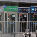 새현대연합의원 비즈트리뷴