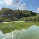 낚시회관낚시터 이미지