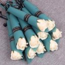 장미어린이집 이미지