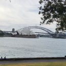 소프라노 제화미 공연 | [시드니] 로열 보태닉가든과 마이리얼트립 GREAT OPERA HITS 오페라하우스 공연 예매 좌석 후기