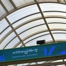 백마카인테리어 | 5.3 &lt;제주도&gt; 2일차 엘리시안cc 그리고 춘심이네 솔직후기 (feat. 서귀포 올레시장, 테디베어 뮤지엄)