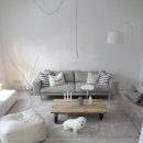 강아지집 이미지