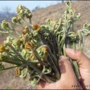 화창농원 이미지