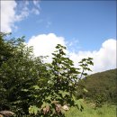 내곡농장 이미지