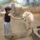 CGV부산명지매점 | 부산 명지 실내동물원 라라쥬 탐방기, 이용방법 상세리뷰