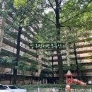 압구정-117 이미지