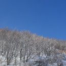 평창이야기 Daum카페