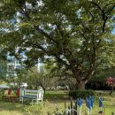 가득뜰근린공원(간이) | 시흥 카페 _ 브런치 맛집 데이트 추천 뜰