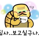 크루시아 이미지