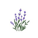 불당홈즈공인중개사사무소 이미지