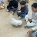 구이초등학교 이미지
