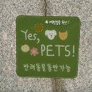 제주 삼양 카페 제주 나풀 내돈내산 후기/애견 동반