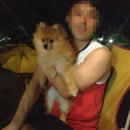 산새민박 이미지